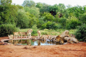 Nacionalni parkovi afrika Nacionalni parkovi afrika
